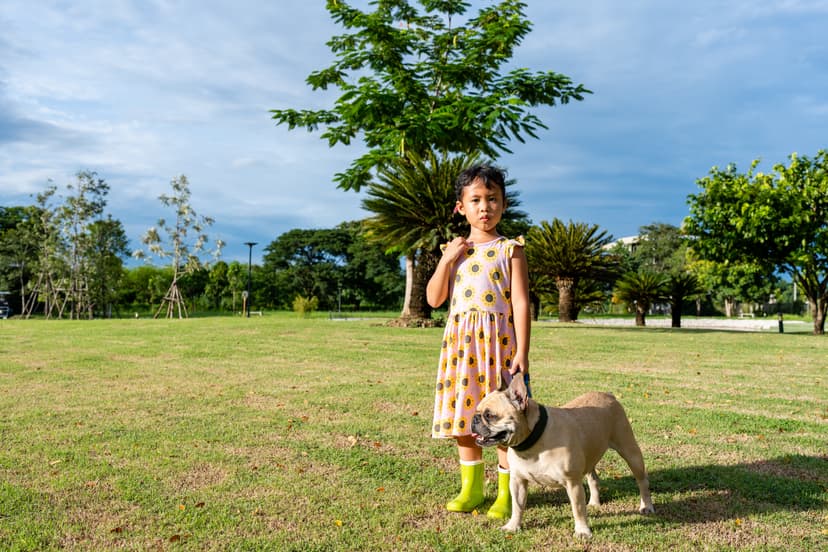 Green landscape preservation