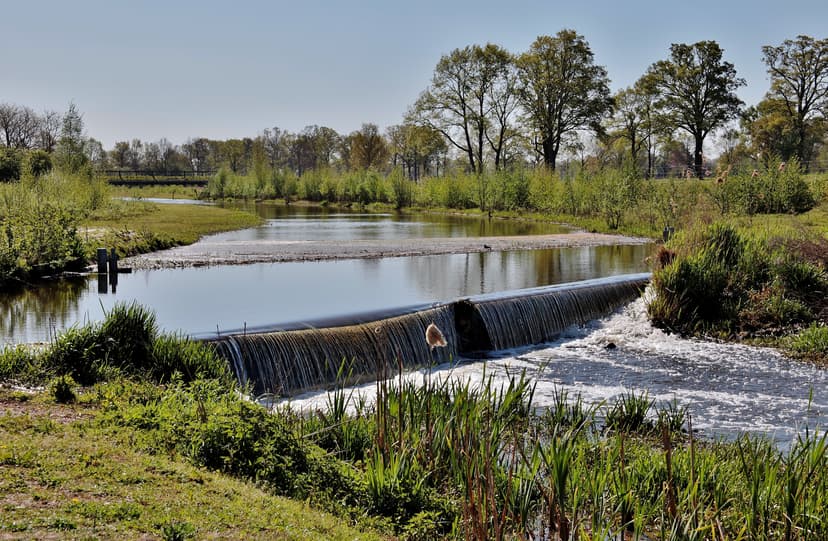 Water conservation systems