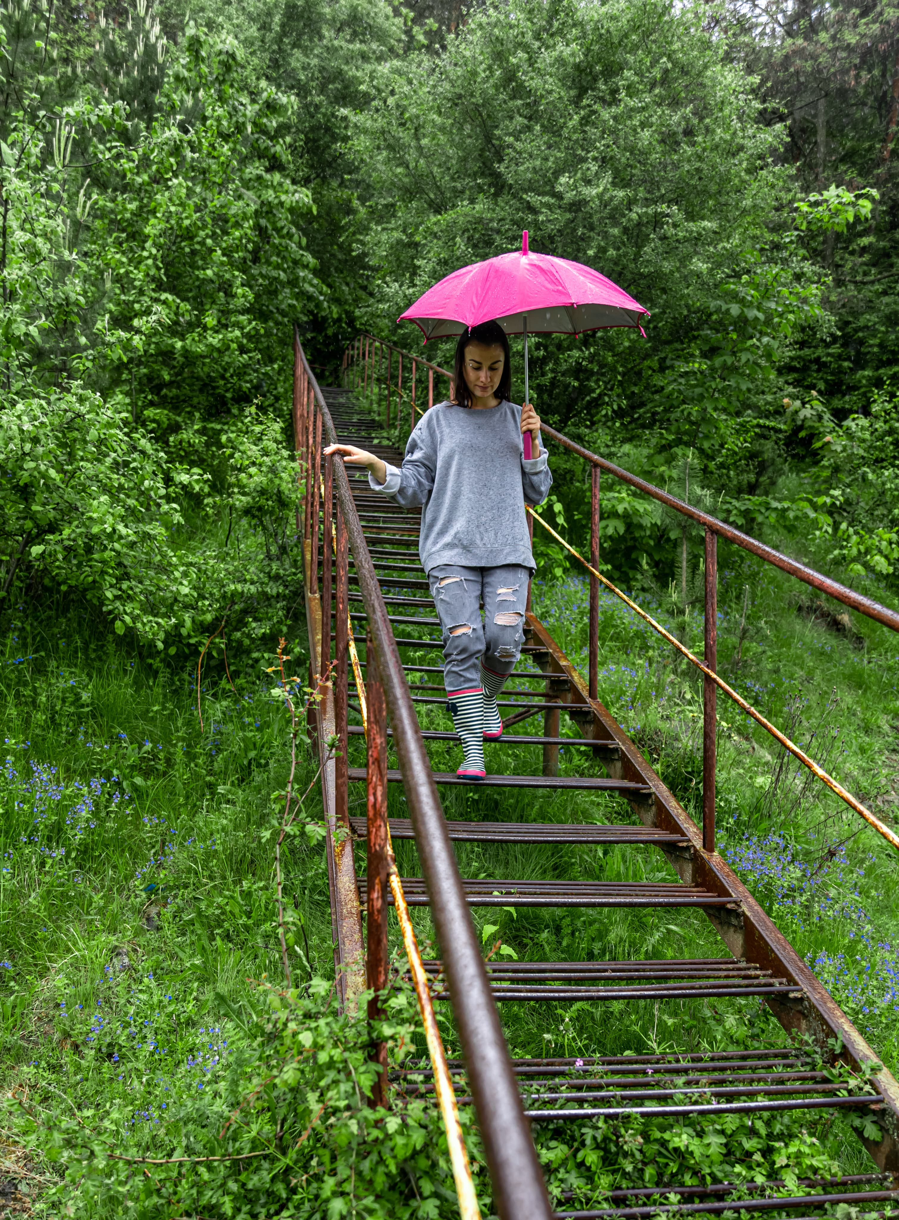 Tree House & Canopy Walk