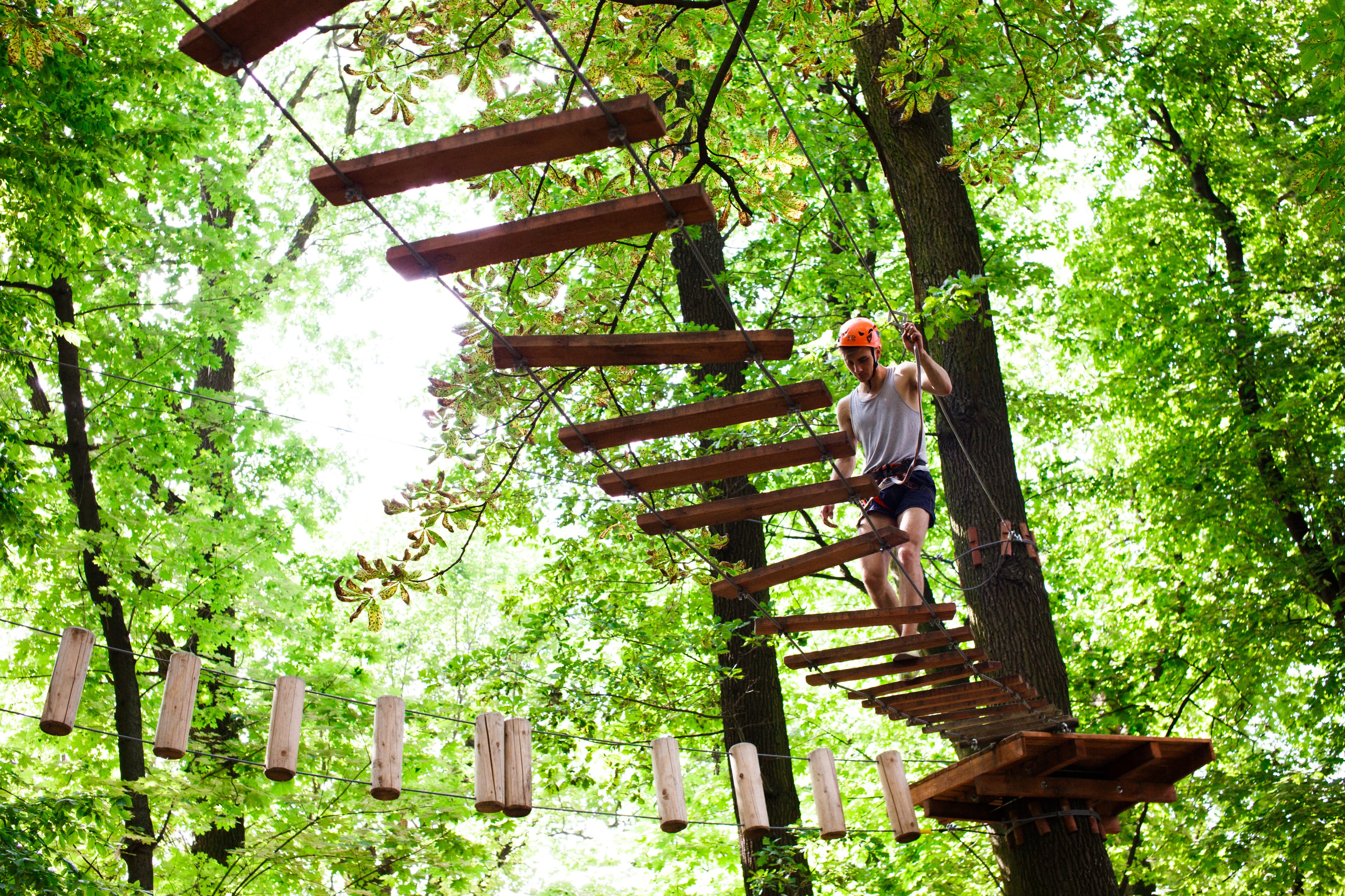 Tree House & Canopy Walk