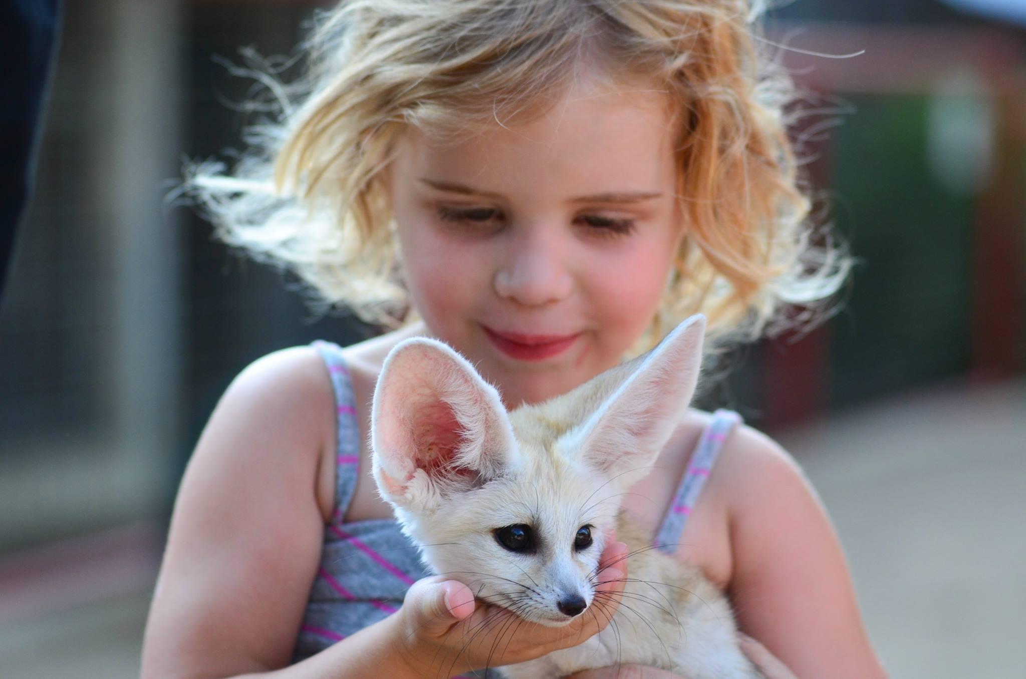 Child with fennec fox at Flora & Fauna